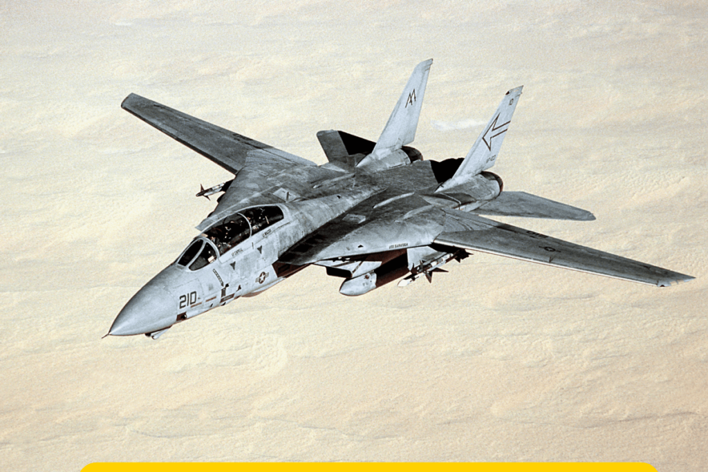 Caça F 14: Poder Aéreo na Aviação Militar
