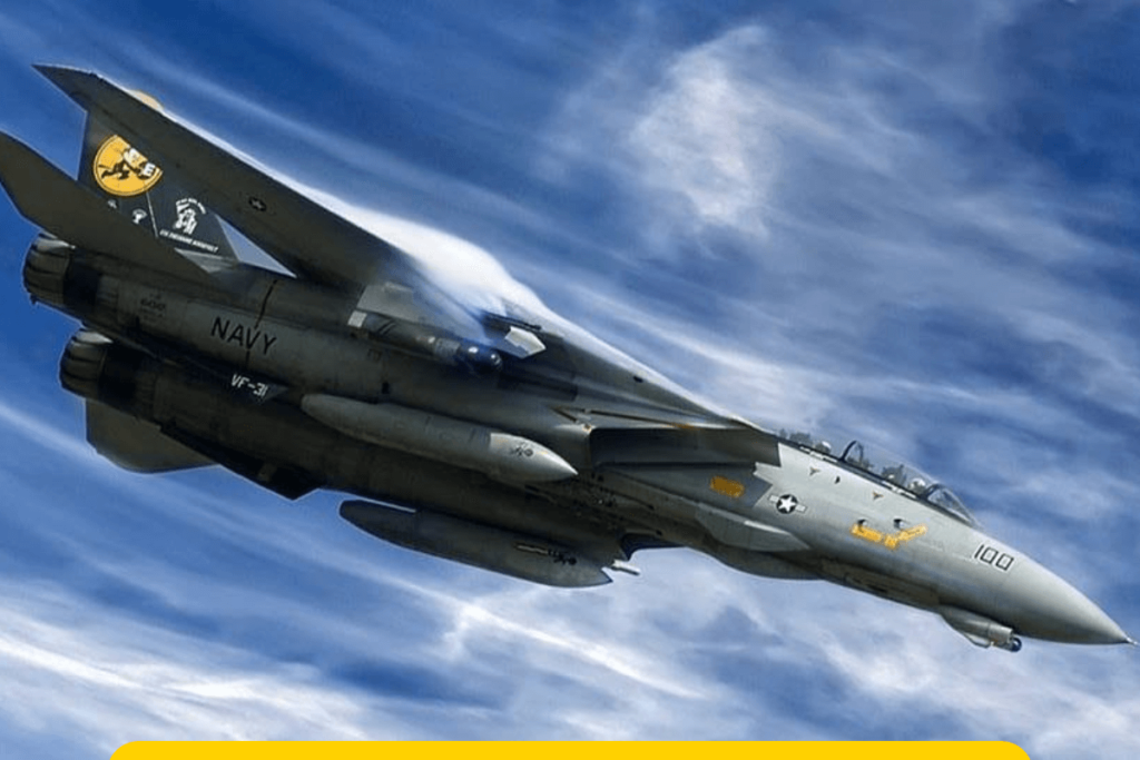 Caça F 14: Poder Aéreo na Aviação Militar